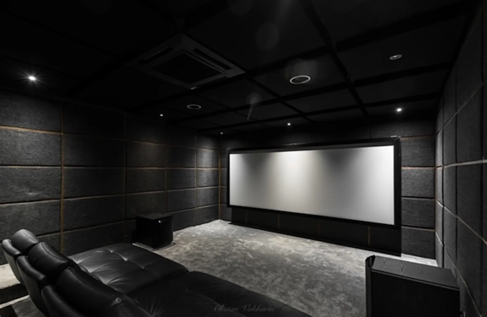 Professional Screening Room